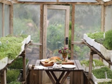 Letni stół na tarasie,balkonie i w ogrodzie (10786)