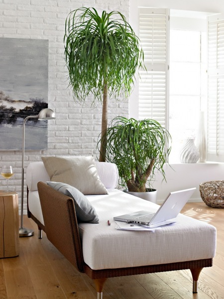 Piękna aranżacja salonu z białą cegłą i zielonymi roślinami