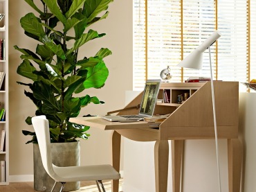 Jakie rośliny pasują do pokoju z biurkiem ? (21116)