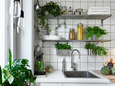 Jak udekorować roślinami metalowe półki na ścianie w kuchni ? (20827)