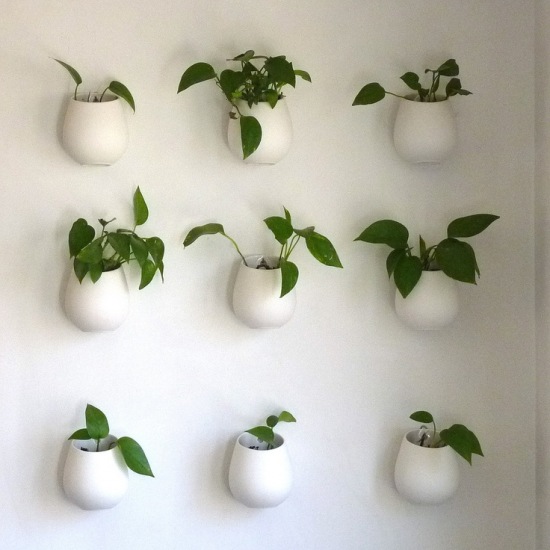 Biale ceramiczne pojemniki z ziołami na kuchennej ścianie