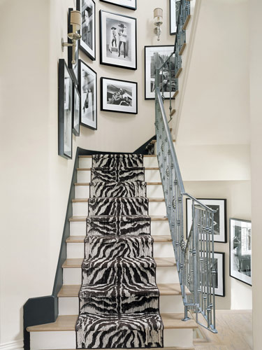 Zebra na schodach