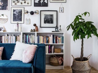 Granatowa sofa i mała biblioteczka w salonie (53521)