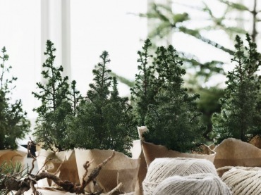 Święta  w skandynawskim domu pełne zapachu świeżego i naturalnego igliwia - zero brokatu, przepychu - po prostu żywa...