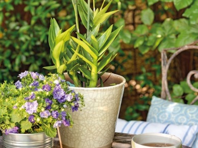 relaks w ogrodzie - kawa, napoje i piękne dekoracje stołu - lampiony, kwiaty, świece i pyszne...