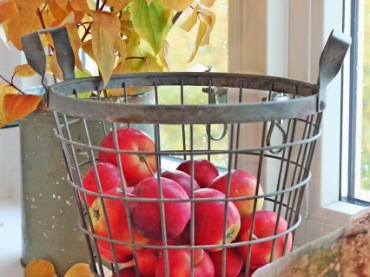 Czerwone jabłka,druciany kosz,wazon z ocynku,szary wazon,jesienna kompozycja z jabłkami,jesienne inspiracje na balkon i taras (35368)