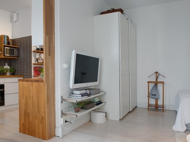 Kącik TV i garderoba w małym mieszkaniu (22625)