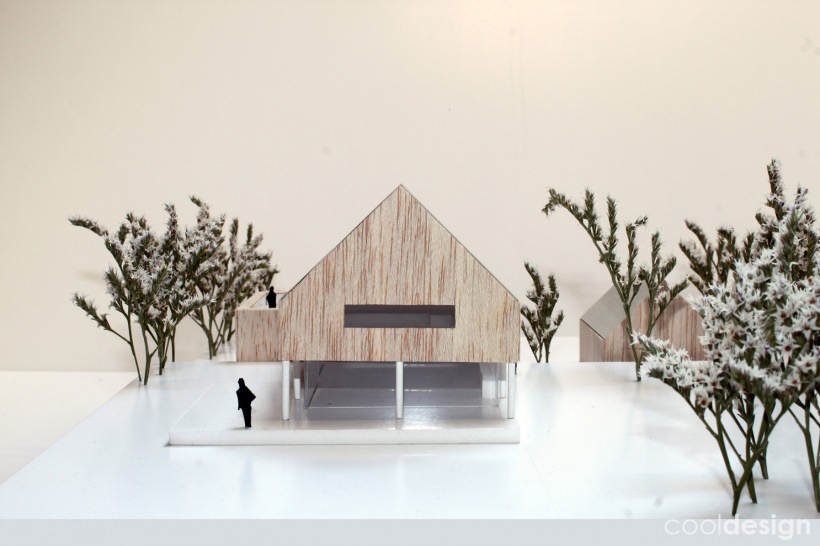 Koncepcja domu jednorodzinnego/Single-family house concept