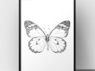 Plakat z naszkicowanym motylem w stylu skandynawskim