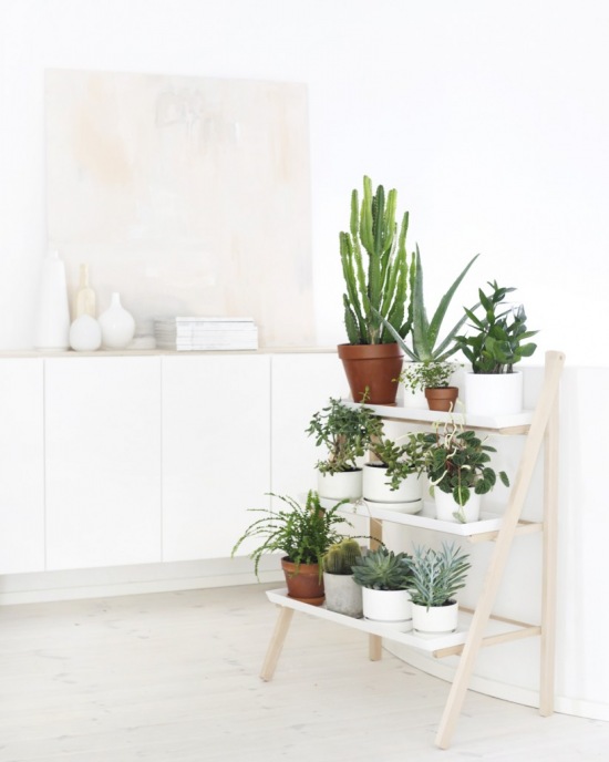Pomysłowe półki stojące na zielone rośliny w białym wnętrzu