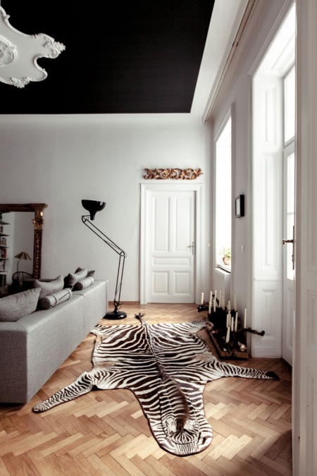 Czarno-biały dywan zebra, nowoczesna biala sofa,industrialna czarna lampa podłogowa i rzexbione stylowe lustro w aranżacji salonu z czarnym sufitem