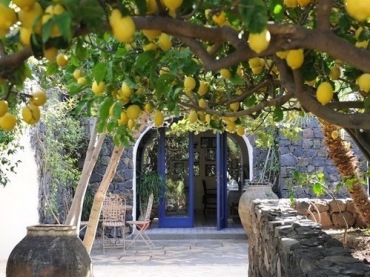 zaproszenie na letnie śniadanie na kamiennym tarasie z niebieskimi drzwiami i cytrynowymi drzewami - pełnia lata :)