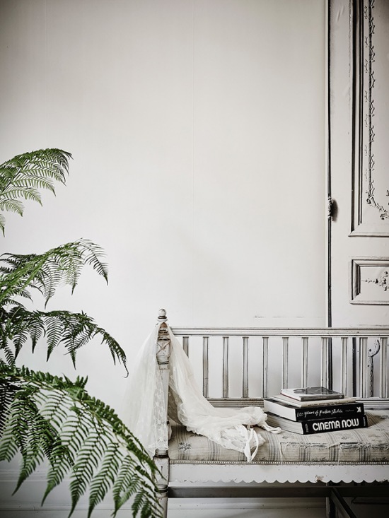 Drewniana biała ławka,zielone paprocie w zmiksowanym salonie w stylu skandynawskim