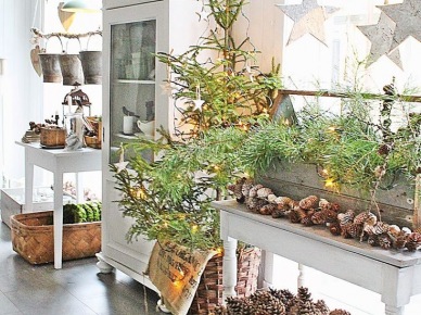 Szyszki,zielone choinki ,białe meble rustykalne i białe gwiazdki świąteczne  w dekoracji wnętrza (27541)