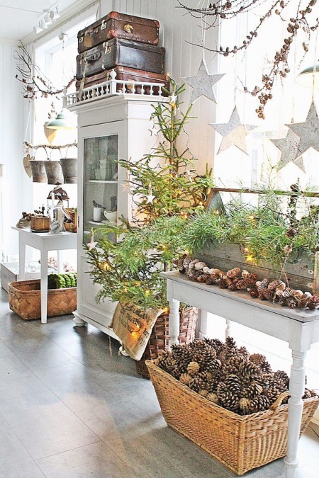 Szyszki,zielone choinki ,białe meble rustykalne i białe gwiazdki świąteczne  w dekoracji wnętrza