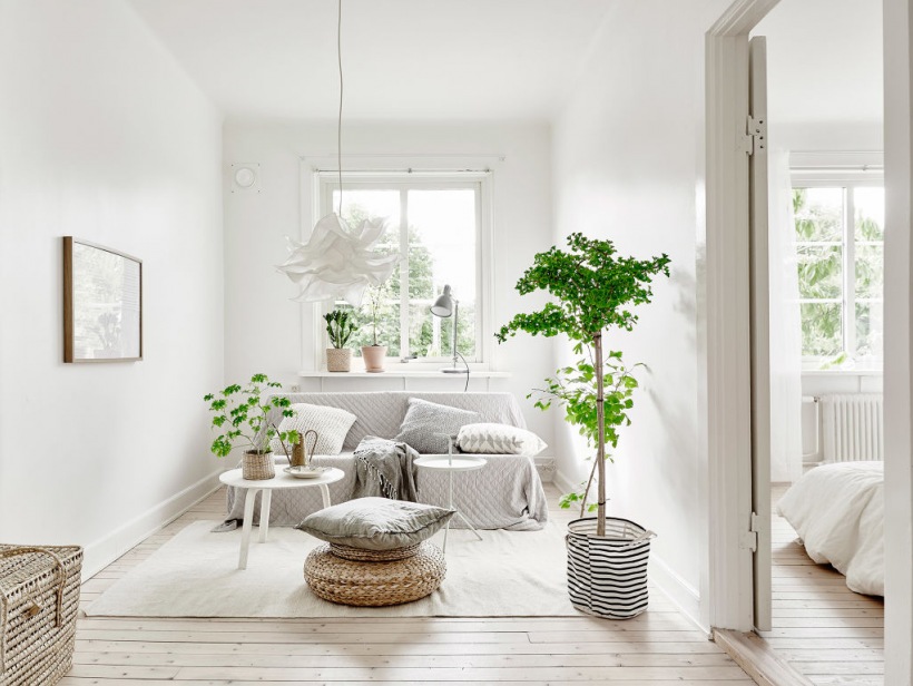 Mały salon w skandynawskim stylu z zielonymi roślinami