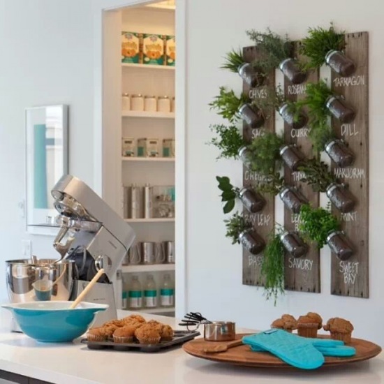 Pomysłowa tablica ze słoiczkami ze świeżymi ziołami w kuchni