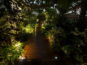 pomysł na podświetlane ścieżki i drzewa w ogrodzie - szczególnie ciekawie wyglądają zawieszone , drewniane ścieżki i...