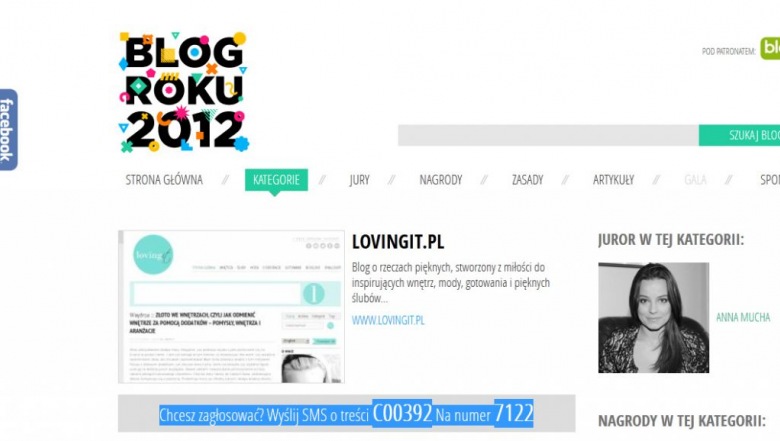 Lovingit.pl w konkursie blogroku.pl - zagłosuj na nas:) (40347)