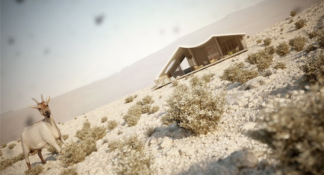 Projekt  willi na pustyni