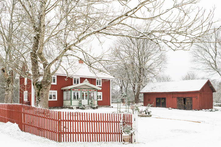 Czerwony dom otulony bielą śniegu wprowadza w świąteczny nastrój. Rustykalny krajobraz posiadłości na wsi podkreśla nie...