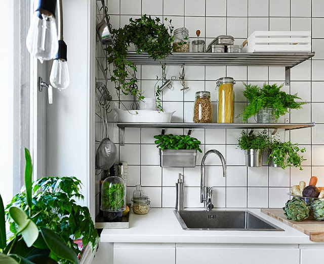 Jak udekorować roślinami metalowe półki na ścianie w kuchni ?